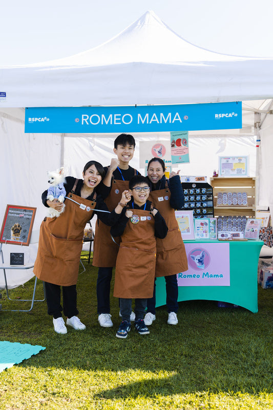 Romeo Mama Store At The RSPCA Million Paws Walk 2024