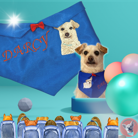 The celebrity pups Darcy and Vindi from Pooches At Play on Channel 10