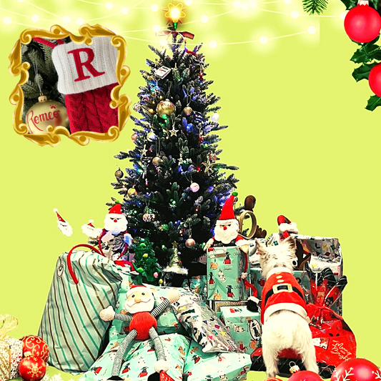 5 Extraordinary Gifts for Your DOG this X'mas