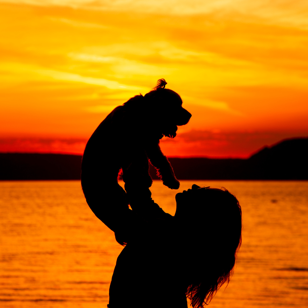 Love Your DOGS too much?