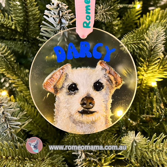Hand-Painted Personalised Pet's Portrait Ornament