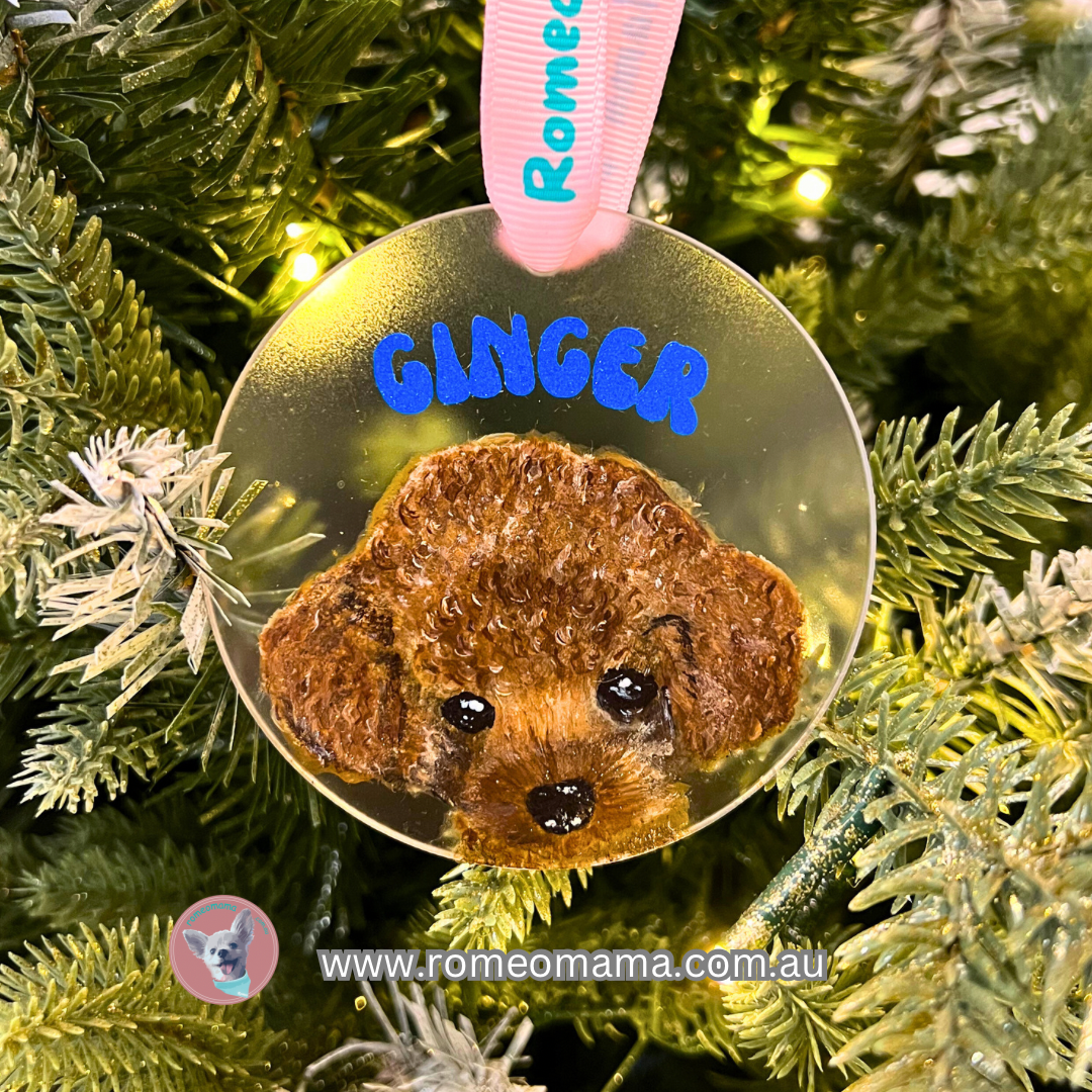 Hand-Painted Personalised Pet's Portrait Ornament