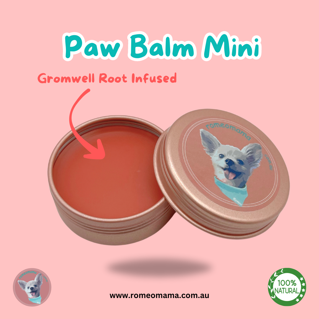 Paw Balm Mini -20g