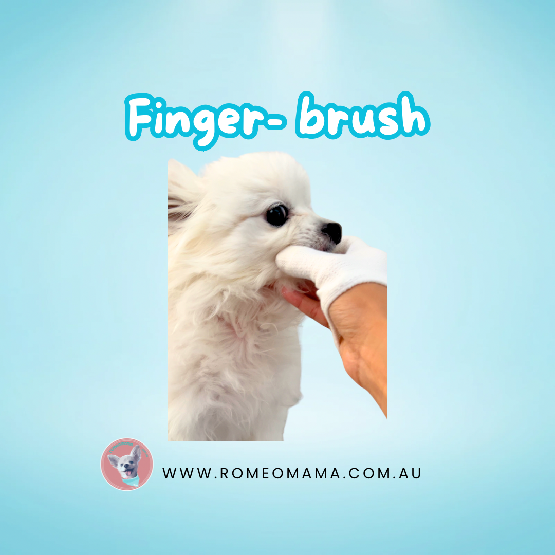 Finger Brush for Dogs