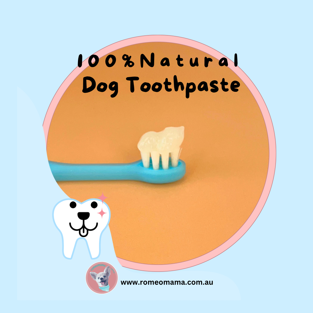 Teeth Cleanser For Dogs