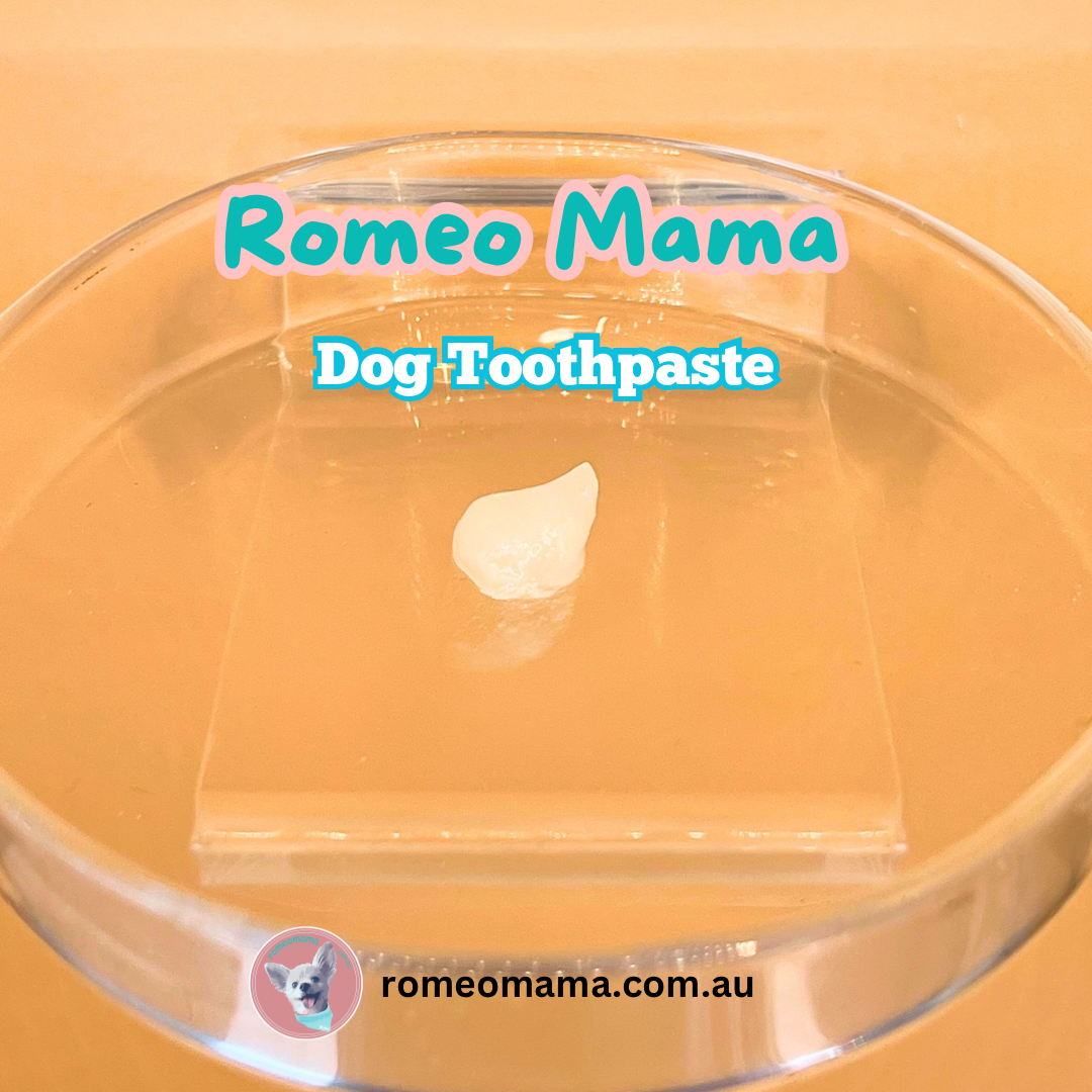 Teeth Cleanser For Dogs