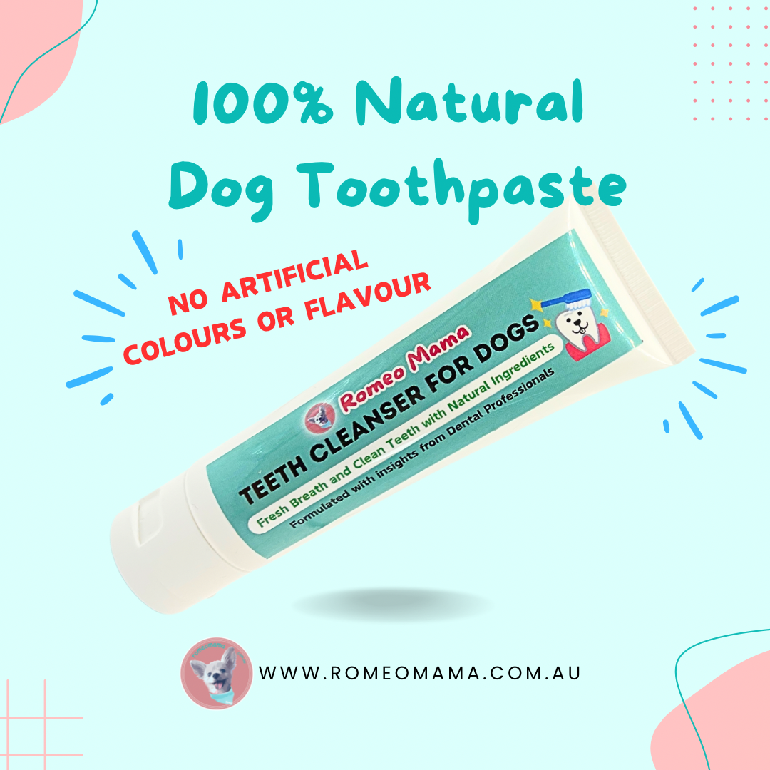 Teeth Cleanser For Dogs