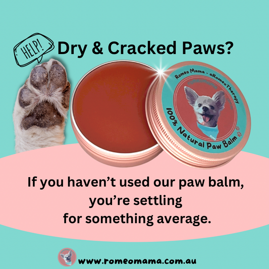 aRomeoTherapy - 100% Natural Paw Balm 60g