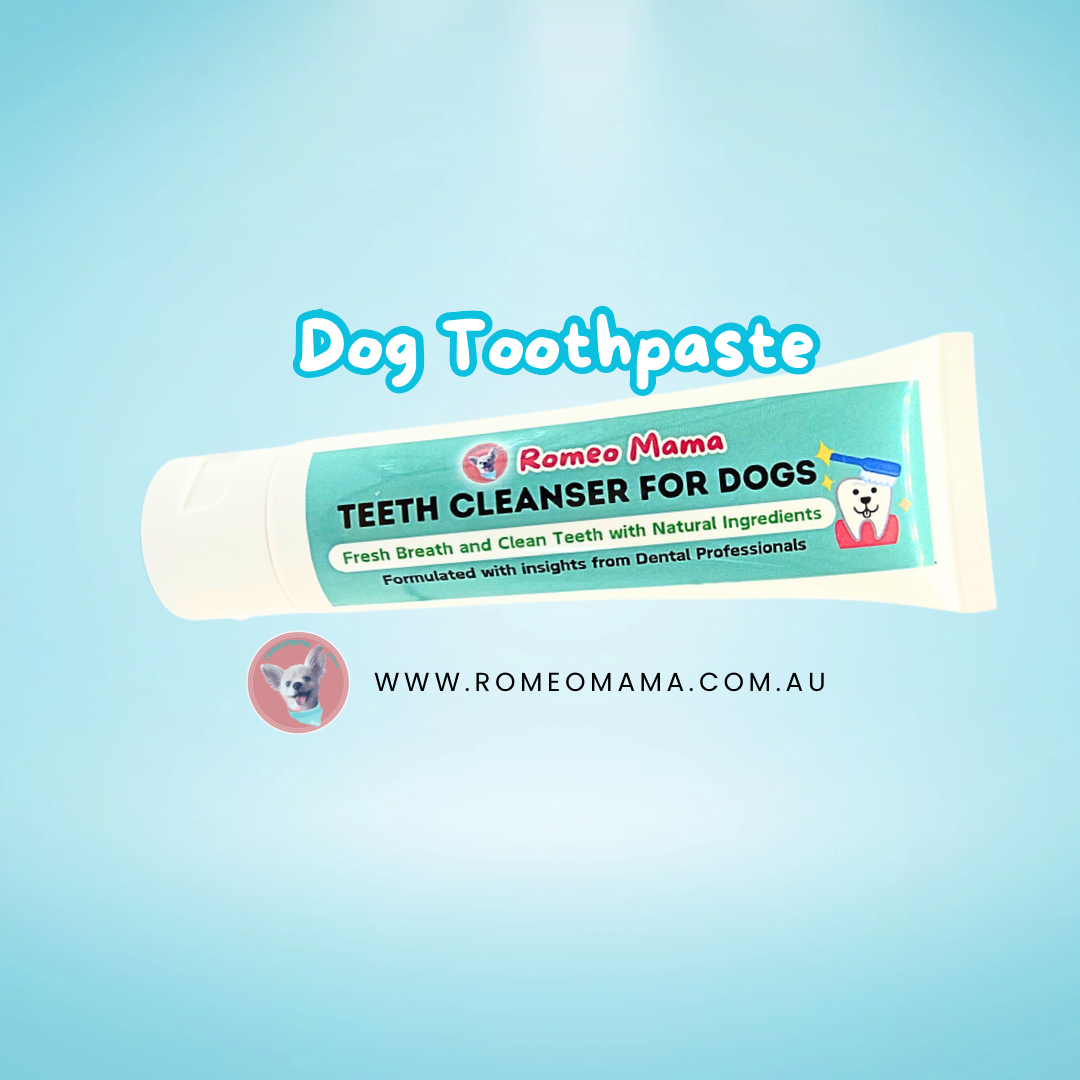 Dental Care Collection
